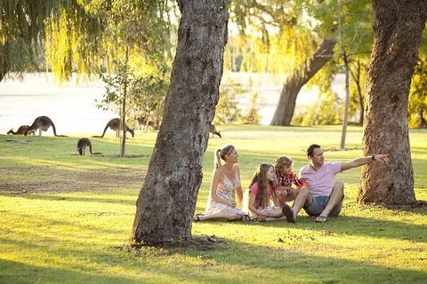 Pinnacles Sunset Dinner And Wildlife Experience A Small Group Tour - Tourism Gold Coast 1