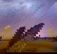 Pinnacles Sunset Dinner and Wildlife Experience a Small Group Tour - Tourism Gold Coast