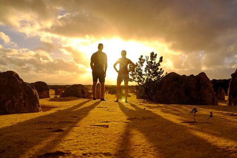 Pinnacles Sunset Dinner And Wildlife Experience A Small Group Tour - Tourism Gold Coast 7
