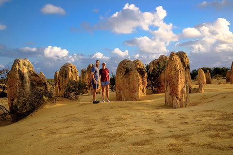 Pinnacles Sunset Dinner And Wildlife Experience A Small Group Tour - Tourism Gold Coast 8