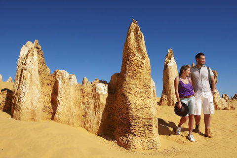 Pinnacles Sunset Dinner And Wildlife Experience A Small Group Tour - Tourism Gold Coast 5