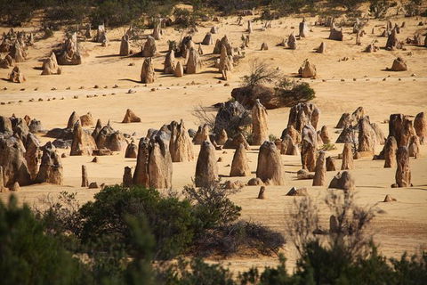 Pinnacles Sunset Dinner And Wildlife Experience A Small Group Tour - Tourism Gold Coast 9