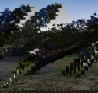Stargazing Busselton with Mobile Observatory - Tourism Gold Coast