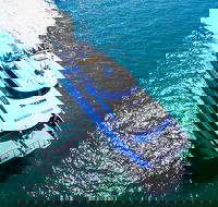 Rottnest Island Roundtrip Ferry from Perth with Transfer - Tourism Gold Coast