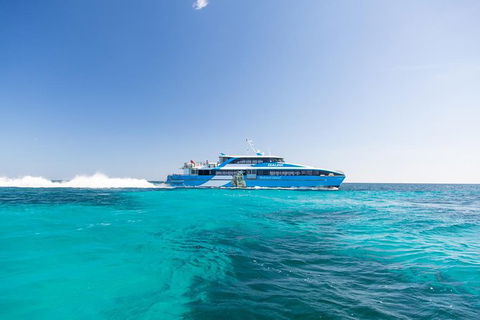 Rottnest Island All-Inclusive Grand Island Tour From Perth - Tourism Gold Coast 1