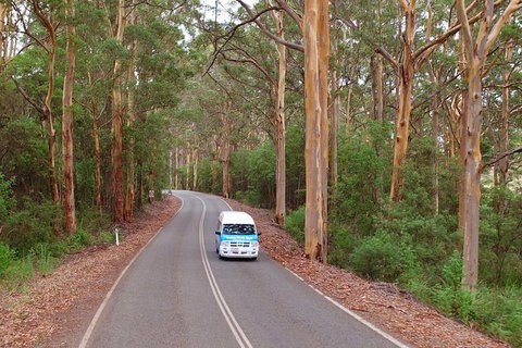 Taste Of The Great Southern - Gold Coast 3
