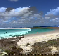 Abrolhos Island Half Day Fly and Flipper - Tourism Gold Coast