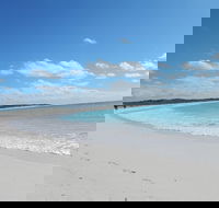 Shipwreck Special Nature Tour/Half Day Tour - Tourism Gold Coast