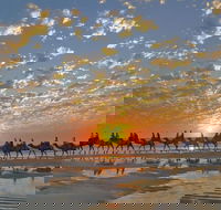Broome City Sightseeing Tour with Optional Camel Ride - Tourism Gold Coast