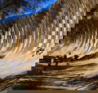 The Big Wave Rock Private Day Tour - Tourism Gold Coast