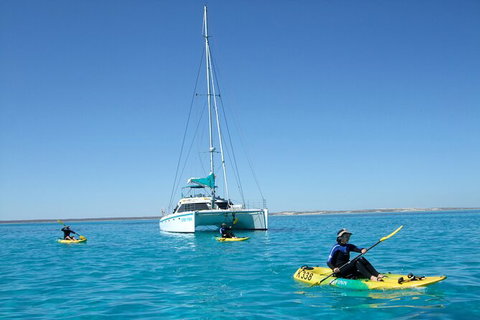 3 Night Ningaloo Reef Snorkel And Dive Getaway From Coral Bay - Tourism Gold Coast 7