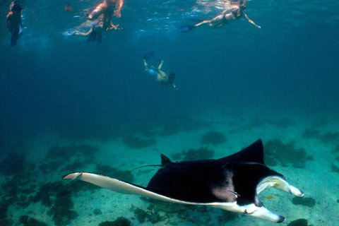 3 Night Ningaloo Reef Snorkel And Dive Getaway From Coral Bay - Tourism Gold Coast 6