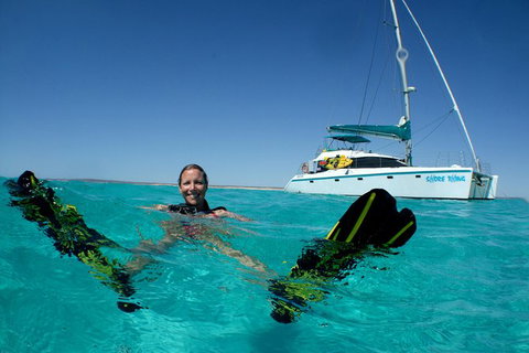 3 Night Ningaloo Reef Snorkel And Dive Getaway From Coral Bay - Tourism Gold Coast 5