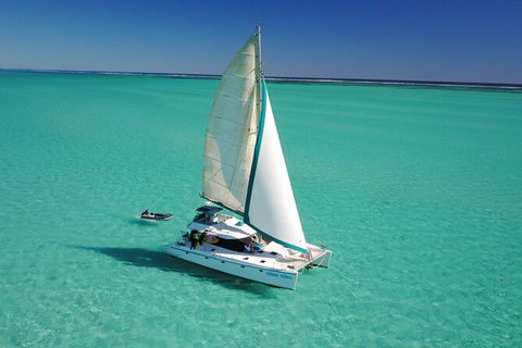 3 Night Ningaloo Reef Snorkel And Dive Getaway From Coral Bay - Tourism Gold Coast 4