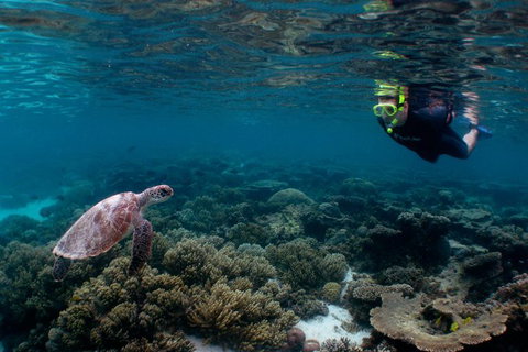 3 Night Ningaloo Reef Snorkel And Dive Getaway From Coral Bay - Tourism Gold Coast 2
