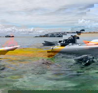 Seal Island and Penguin Island or Point Peron Sea Kayak Tour - Tourism Gold Coast