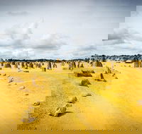 1 Day Pinnacles Wildlife  Sandboarding - Tourism Gold Coast