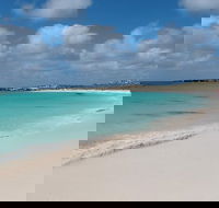 Pink Lake and Abrolhos Full Day Fly and Flipper - Tourism Gold Coast