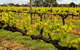 Margaret River Indulge And Discover Day Tour - thumb 20