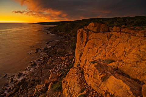 Margaret River Indulge And Discover Day Tour - Tourism Gold Coast 13