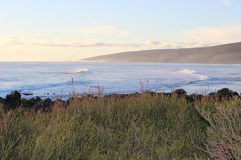 Margaret River Indulge And Discover Day Tour - Tourism Gold Coast 6