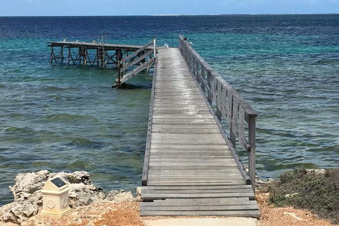 Abrolhos Flyover With Morning Tea On East Wallaby Island - Tourism Gold Coast 1