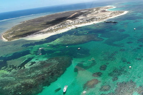 Abrolhos Flyover With Morning Tea On East Wallaby Island - Tourism Gold Coast 0