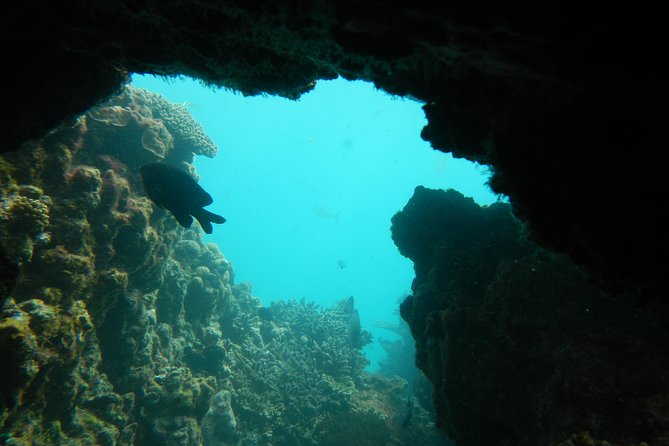 Geraldton WA Tourism Gold Coast
