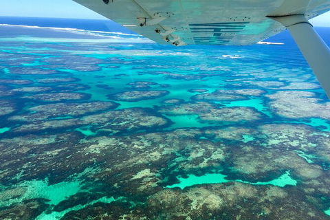 Kalbarri, Pink Lake And Abrolhos Islands Nature Tour - Tourism Gold Coast 5