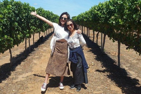 VIP Swan Valley Wine Tour - Premium Small Group Wine & Gourmet Experience - Tourism Gold Coast 3