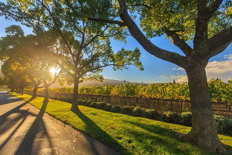 VIP Swan Valley Wine Tour - Premium Small Group Wine & Gourmet Experience - Tourism Gold Coast 5