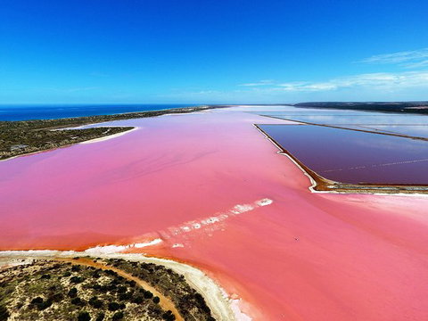 Pink Lake Aerial Flyover From Geraldton - Tourism Gold Coast 0