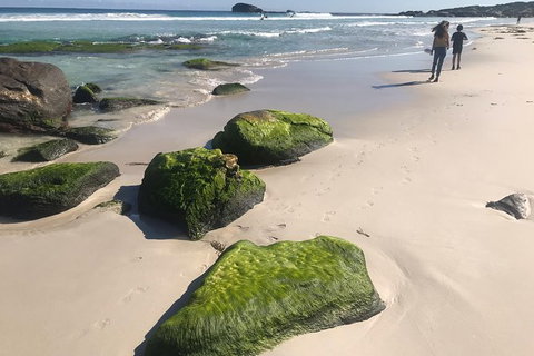 Cape To Cape Track Hike And Winery Tour - Tourism Gold Coast 7