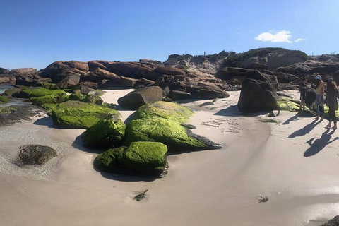 Cape To Cape Track Hike And Winery Tour - Tourism Gold Coast 11