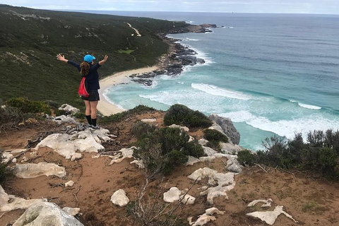 Cape To Cape Track Hike And Winery Tour - Tourism Gold Coast 6