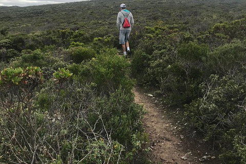 Cape To Cape Track Hike And Winery Tour - Tourism Gold Coast 10