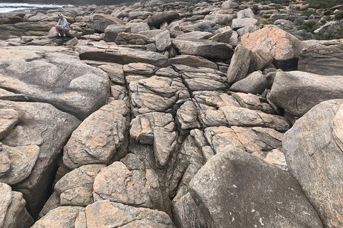 Cape To Cape Track Hike And Winery Tour - Tourism Gold Coast 8