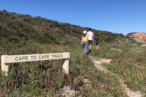 Cape To Cape Track Hike And Winery Tour - Tourism Gold Coast 4