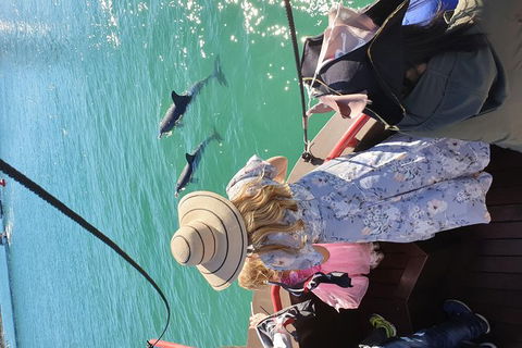 Pirate Ship Lunch Cruise (1.5hr) - Tourism Gold Coast 7