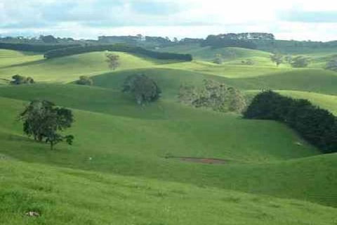 Day Tour Of Phillip Island & Surrounding Region - Tourism Gold Coast 0