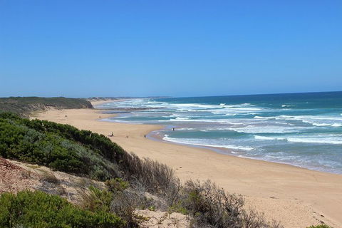 Day Tour Of Phillip Island & Surrounding Region - Tourism Gold Coast 1