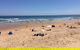 Day Tour Of Phillip Island & Surrounding Region - thumb 7