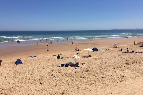 Day Tour Of Phillip Island & Surrounding Region - Tourism Gold Coast 7