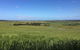 Day Tour Of Phillip Island & Surrounding Region - thumb 4