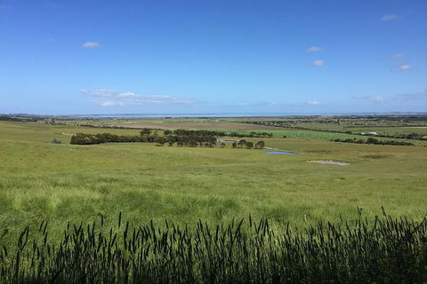 Day Tour Of Phillip Island & Surrounding Region - Tourism Gold Coast 4