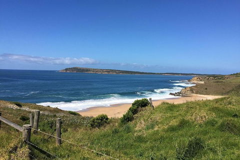 Day Tour Of Phillip Island & Surrounding Region - Tourism Gold Coast 5