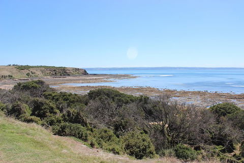 Day Tour Of Phillip Island & Surrounding Region - Tourism Gold Coast 2