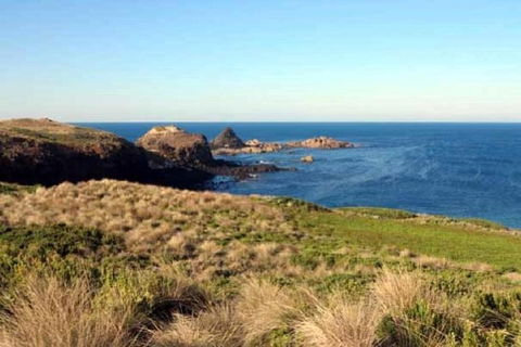 Phillip Island Walking & Bird Watching Tour - Tourism Gold Coast 0