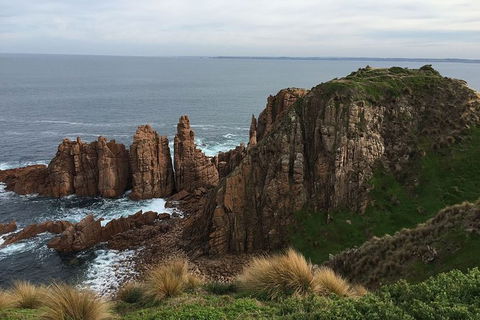 Phillip Island Walking & Bird Watching Tour - Tourism Gold Coast 8
