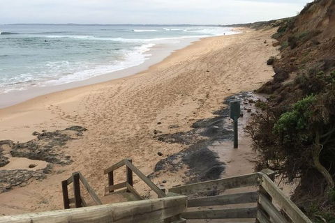 Phillip Island Walking & Bird Watching Tour - Tourism Gold Coast 3